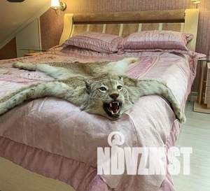 Дом 1800м², 3-этажный, посуточно,