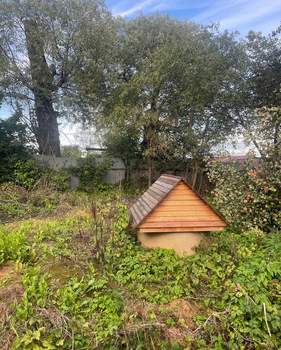 Дом 43м², 1-этажный, участок 12 сот.