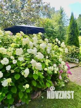 Дом 140м², 2-этажный, участок 11 сот.