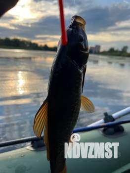 Дом 32м&sup2;, 2-этажный, посуточно, 