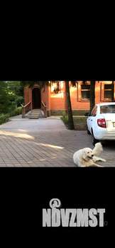 Коттедж 180м&sup2;, 2-этажный, на длительный срок, 