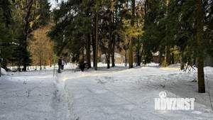 Дом 145м&sup2;, 2-этажный, участок 8 сот.  