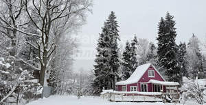 Дом 50м&sup2;, 2-этажный, участок 8 сот.  