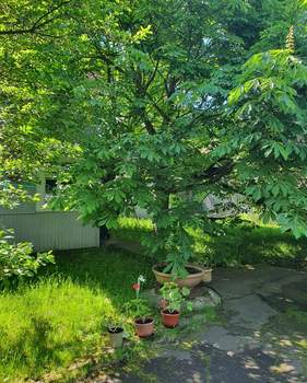 Дом 185м², 2-этажный, участок 8 сот.  