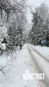 Дом 50м&sup2;, 2-этажный, участок 8 сот.  