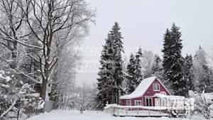 Дом 50м&sup2;, 2-этажный, участок 8 сот.  