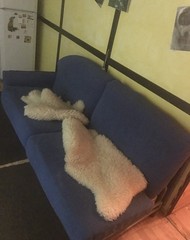 Фото комнаты в аренду (5)