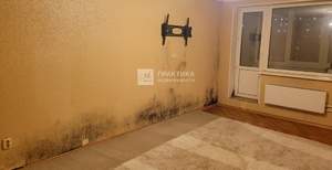 3-к квартира, вторичка, 75м2, 10/16 этаж