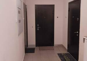 1-к квартира, вторичка, 46м2, 17/17 этаж