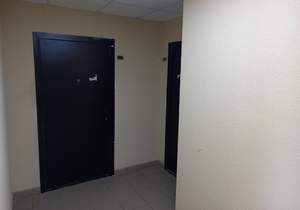 1-к квартира, вторичка, 32м2, 2/17 этаж