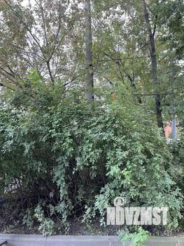 1-к квартира, вторичка, 33м2, 4/5 этаж